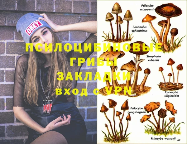 спайс Абинск
