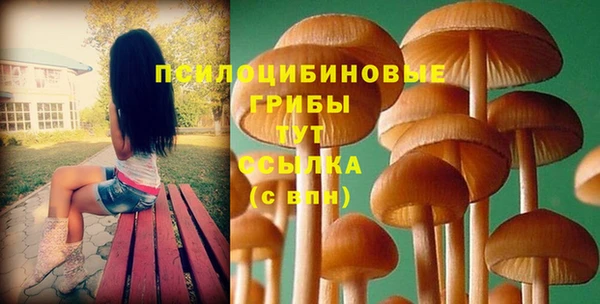 спайс Абинск