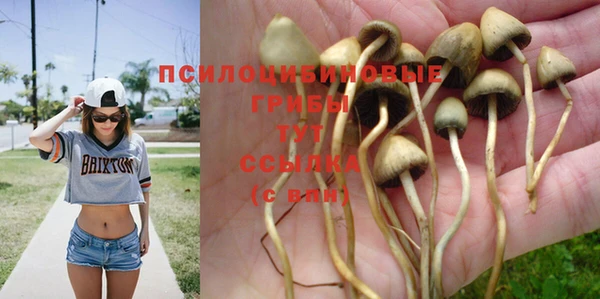 твердый Абдулино