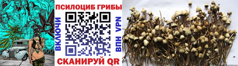 Галлюциногенные грибы мицелий Ачхой-Мартан