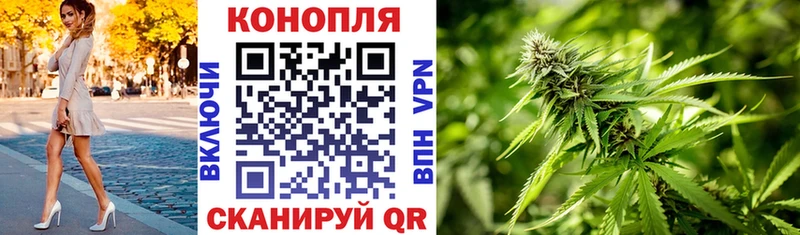 Бошки марихуана гибрид Ачхой-Мартан